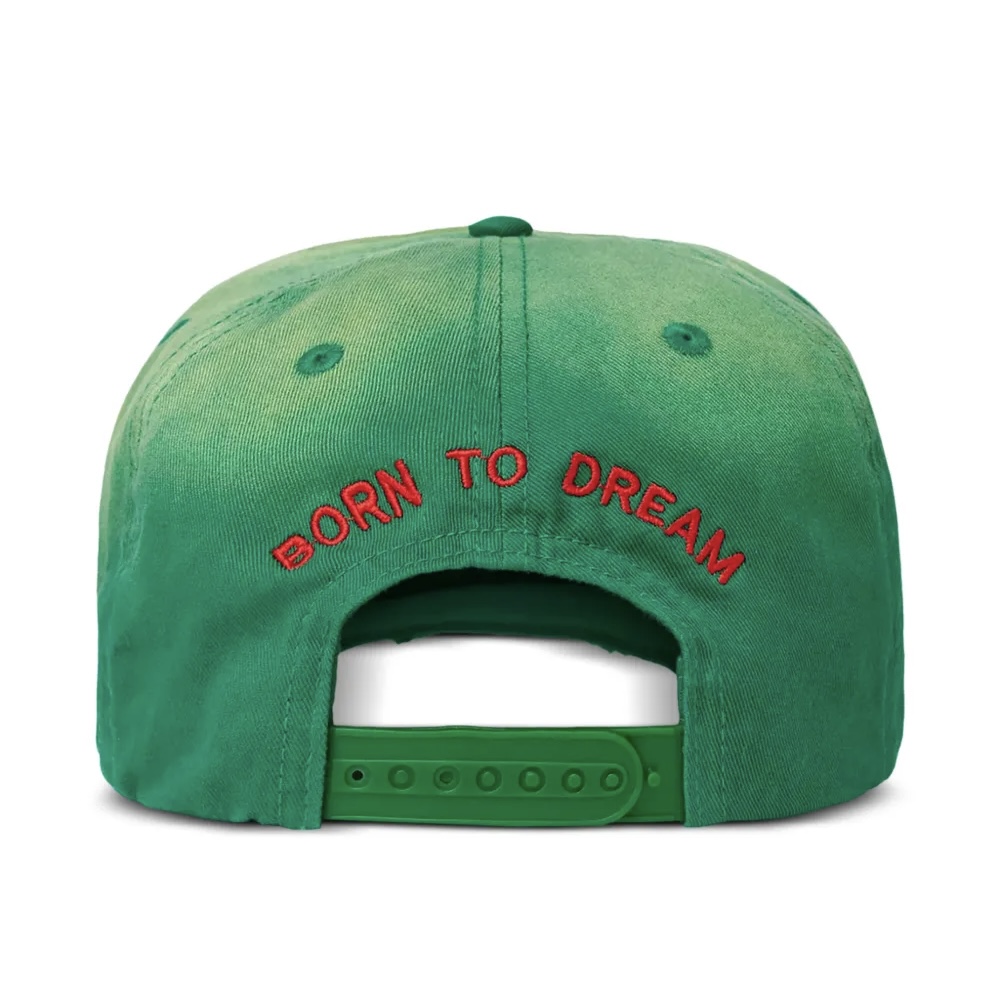Valley forever Wrecked Anthem Cap